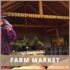 Farm Market