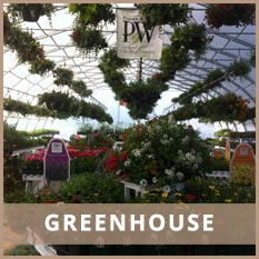 Greenhouse