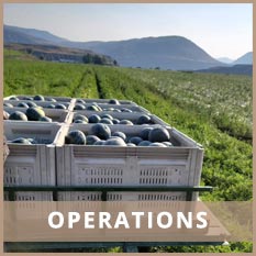 Operations