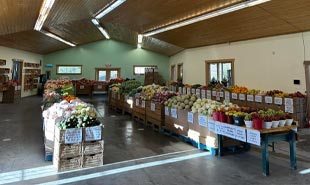 Slideshow Image 5