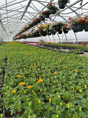 Slideshow Image 1